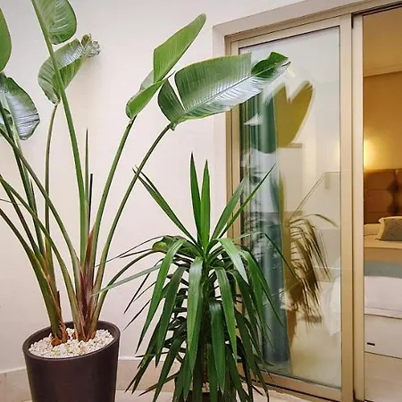 El Ancla Apartamento *